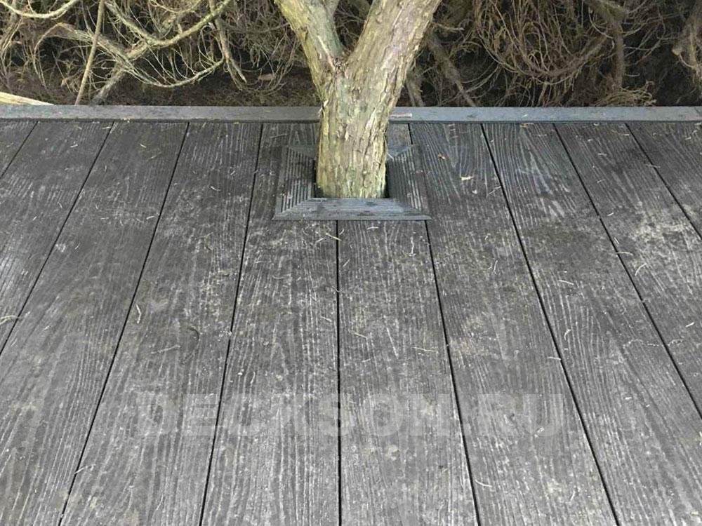 Обшивка площадки вокруг дерева из искусственной доски фото